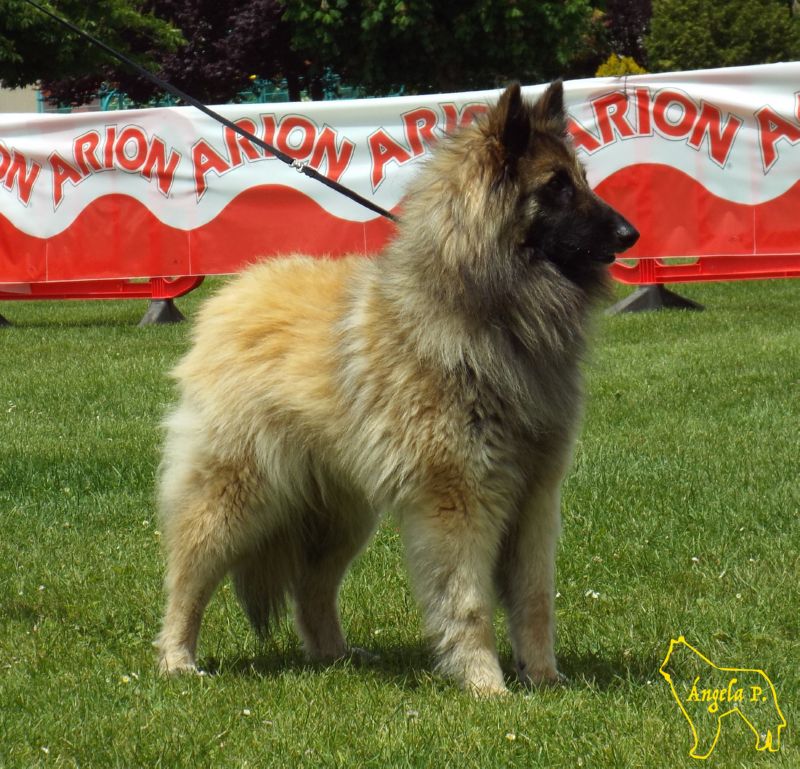 Pandora Del Clamiu  EXc 6 abierta hemrbas